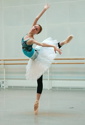 swan2
