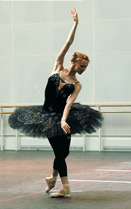 swan5