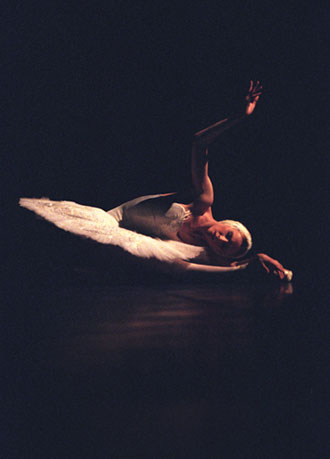 zakh-swan-2-big