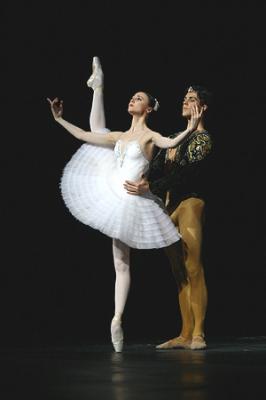 pas de deux avec roberto bolle